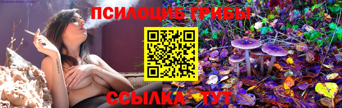 Псилоцибиновые грибы Magic Shrooms Электросталь